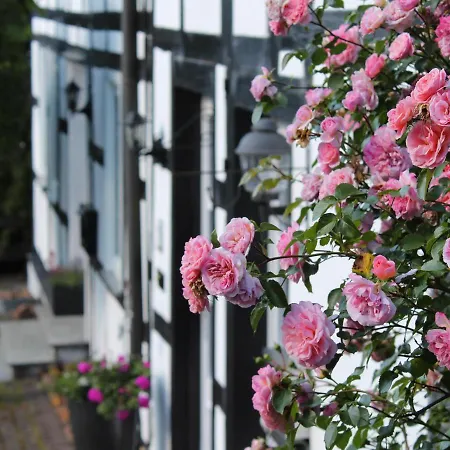 Kuesterland Appartement